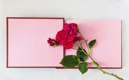 Vintage postcard background with empty sheet book and red rose. Space for textの写真素材