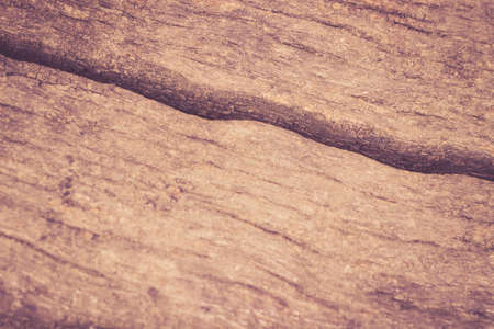 Natural old wood texture backgroundの写真素材