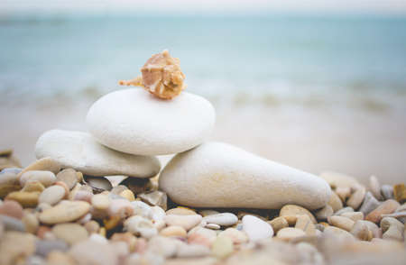 Little seashell lying on the pebble beach of the Adriatic Sea. Stack of rocks with water on the...