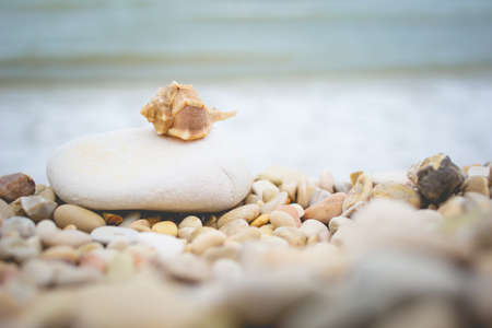 Little seashell lying on the pebble beach of the Adriatic Sea. Stack of rocks with water on the background.の写真素材