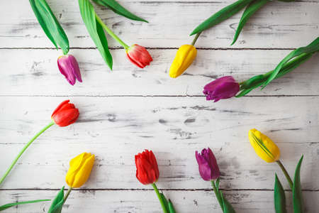 Bunch of purple, red and yellow tulip flowers on wooden background. Birthday, Woman's or Mother's Day greetingsの写真素材