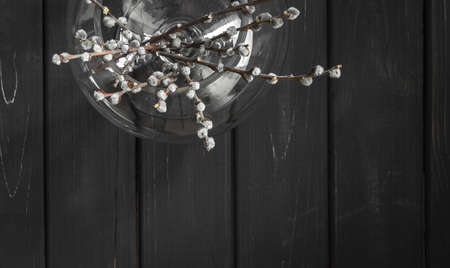 Willow tree branches in round glass vase for Easter interior deroration over dark wooden background. Above viewの写真素材