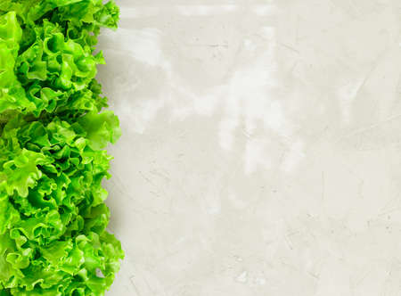 Fresh lettuce leaves border over grey concrete stone background. Organic vegetable food, diet concept. Plenty of copy space.の写真素材