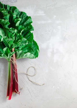 Fresh organic rhubarb stems with leaves on grey concrete stone background. Space for your text