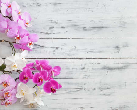 Textured grey background with variety of phalaenopsis flowers from one side. Space for your textの写真素材