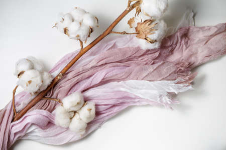 Cotton plant flower branch with purple and pink fabricの写真素材