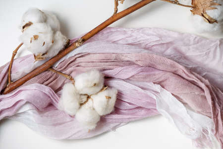 Cotton plant flower branch with purple and pink fabricの写真素材