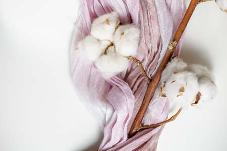 Cotton plant flower branch with purple and pink fabricの写真素材