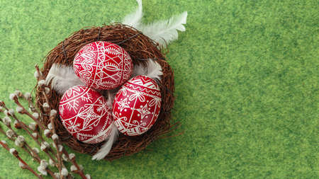 Pysanky, decorated Easter eggs in the nest, pussy willow branches and white feathers on green...