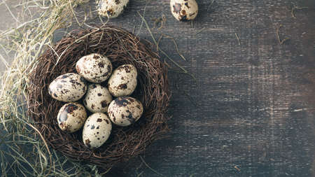 Quail eggs in nest with feather and dry hay. Rustic style, top view, space for textの写真素材