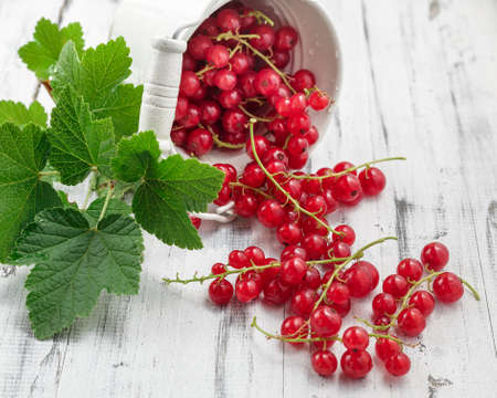 Freshly collected ripe redcurrants with leaves in white bucket over white wooden background