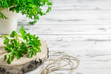 Bunch of organic parsley on white wooden backgroundの写真素材