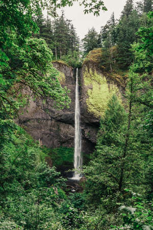 Latourell Falls waterfall along the Columbia River Gorge, Oregon, USAの写真素材