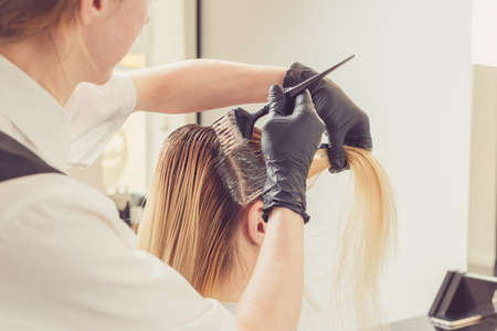 Female stylist applying a dye to the clients hair at beauty salonの写真素材