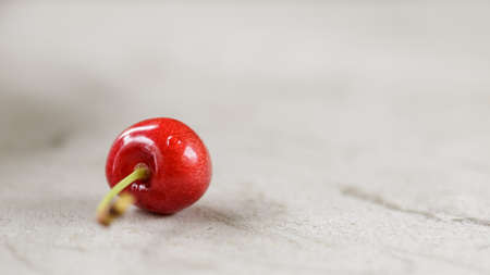 Sweet fresh red cherries just gathered
