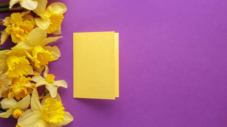 Yellow paper card with narcissus flowers on purple background. Colorful invitation or greeting mock up for spring holidays. Top viewの写真素材