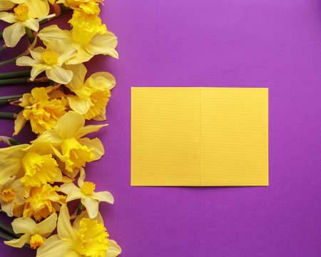 Yellow paper card with narcissus flowers on purple background. Colorful invitation or greeting mock...