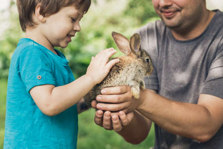 Little boy and his father are holding a rabbit on the farmの写真素材
