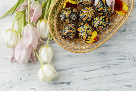 Pysanky, Ukrainian Easter eggs decorated with wax-resist dyeing technique, tulip flowers on white wooden background, copy space for textの写真素材