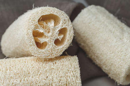 Luffa sponge for zero waste dish washing or bath