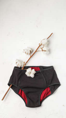 Reusable eco-friendly feminine hygiene period menstruation underwear pants. Top view on white textured background.の写真素材