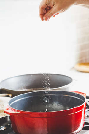 Man's hand adding salt while cooking food in a red enameled cast iron french ovenの写真素材