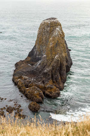 Cliff full of birds, marine fauna, dirty cliff covered with the guano, Yaquina Bay, OR, USAの写真素材