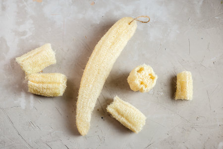 Luffa sponge for zero waste dish washing or bathの写真素材