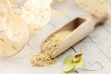 Ayurvedic cosmetic ubtan for face and hair care. Cleansing powder in wooden spoonの写真素材