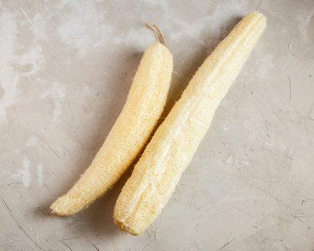 Luffa sponge for zero waste dish washing or bathの写真素材