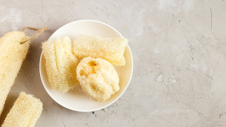 Luffa sponge for zero waste dish washing or bathの写真素材