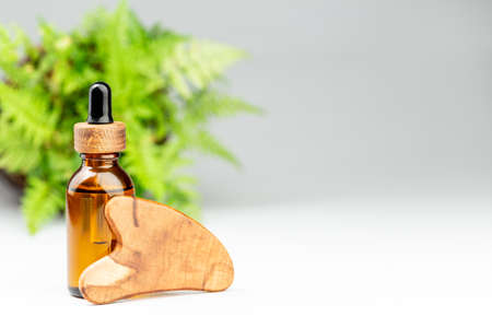 Oil bottle and gua sha wooden scraper massager tool at gray background. Beauty treatment concept. Copy text for textの写真素材