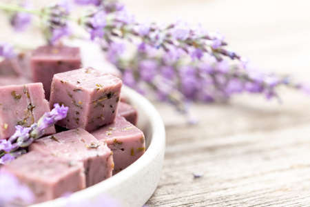 Lavender cheese with dry lavender flowers served on white plate. Cubes of purple cheese with herbal...