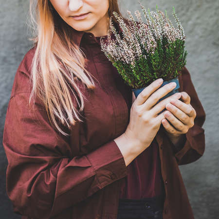 White woman holding a pot with white heather in her hands. Home gardening, house decoration with seasonal fall plants.の写真素材