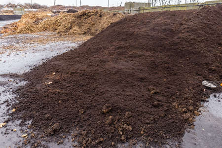 Large heap of used coffee grounds at compost sorting and recycling station. Separate organic waste collection and compostの写真素材