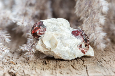 Natural rough red pyrope garnet gem stone embedded on rock. Natural crystal mineral on natural background with copy space. Unpolished gemstoneの写真素材