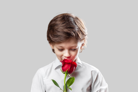 Adorable elegant white boy holding a red rose as a gift for his mother or girlfriend. Mothers day or Valentines day conceptの写真素材