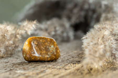 Yellow Jasper Tumbled Gem Stone on Wooden Background. Jasper is Used for Ornamentation or as a Gemstoneの写真素材