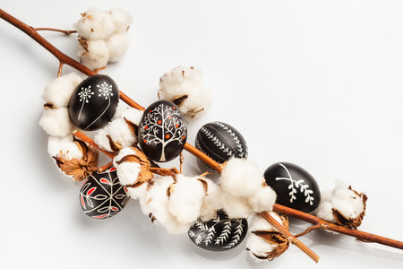 Black and White Pysanka Easter Eggs Decorated with Traditional Eastern European Beeswax Technique and a Branch of Cotton Flower. Greeting Card with Space for Textの写真素材