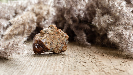 Raw andradite garnet crystal sample on wood with copy space.の写真素材