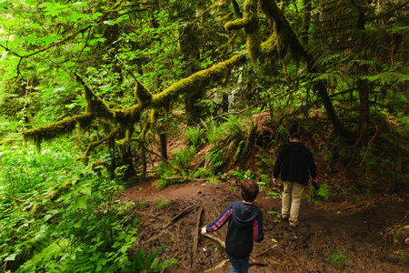 Memorable Hiking Adventure through the Swampy Challenging Terrain of the Pacific Northwest. Lacamas Regional Park, Washington state.の写真素材