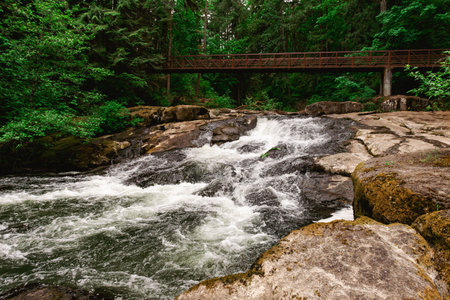 River Stream and Wooden Bridge in the Forest. Lacamas Regional Park, Washington, USA. Cascade Falls over Boulder Rocksの写真素材