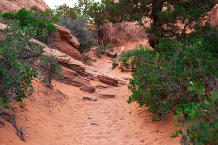 Sandy Terrain on Devils Garden Trail in Arches National Park, Utah