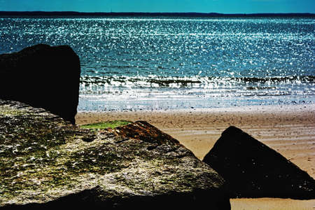 Ocean. Beach.