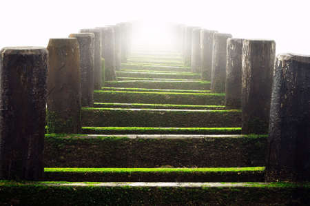 Piling. Ocean.の写真素材