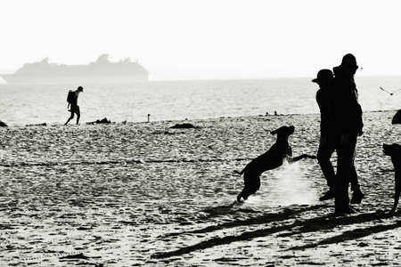 Dog. Man. Ship. Beach. Fog.の写真素材