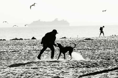 Dog and manの写真素材