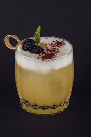 Fruit and herbal cold drink on blackの写真素材