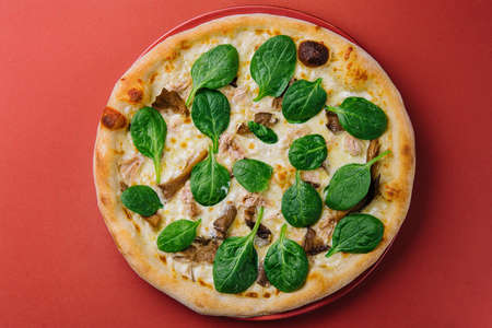 Hot mushroom pizza with basil on red plateの写真素材