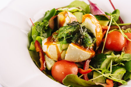 Burrata salad with seaweed, cucumbers and tomatoesの写真素材